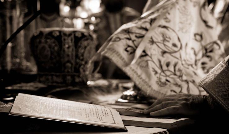 Στιγμιότυπα από τον εορτασμό των Εισοδίων στην Παλατιανή