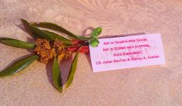 Γλέντι της Τυρινής στα Άνω Λιόσια