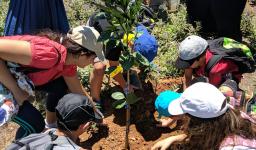 Δεντροφύτευση από παιδιά στο Ολυμπιακό Χωριό