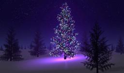 Χριστουγεννιάτικη γιορτή του Αγίου Νεκταρίου Άνω Λιοσίων