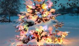 Η χριστουγεννιάτικη γιορτή του Αγ. Νεκταρίου Άνω Λιοσίων