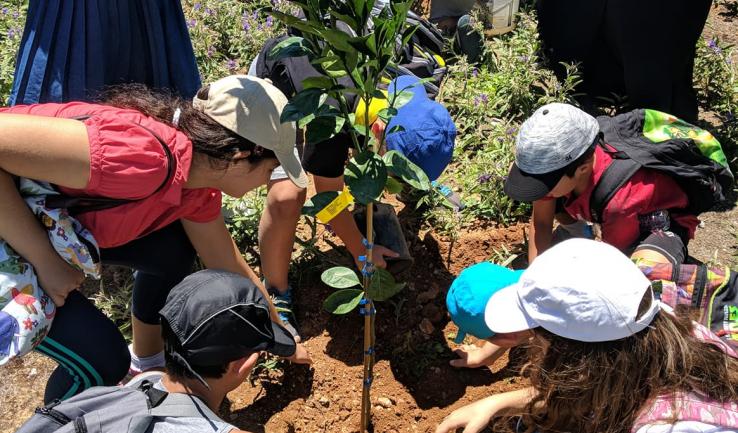 Δεντροφύτευση από παιδιά στο Ολυμπιακό Χωριό