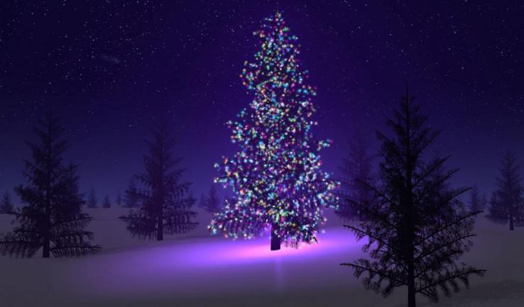 Χριστουγεννιάτικη γιορτή του Αγίου Νεκταρίου Άνω Λιοσίων