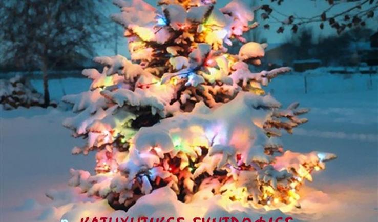 Η χριστουγεννιάτικη γιορτή του Αγ. Νεκταρίου Άνω Λιοσίων